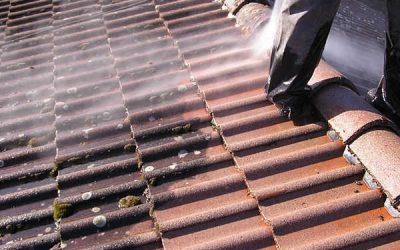 Pourquoi nettoyer sa toiture ?